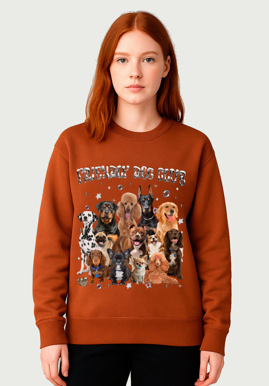 Polerón Friendly Dog Club – Streetwear Perruno Retro